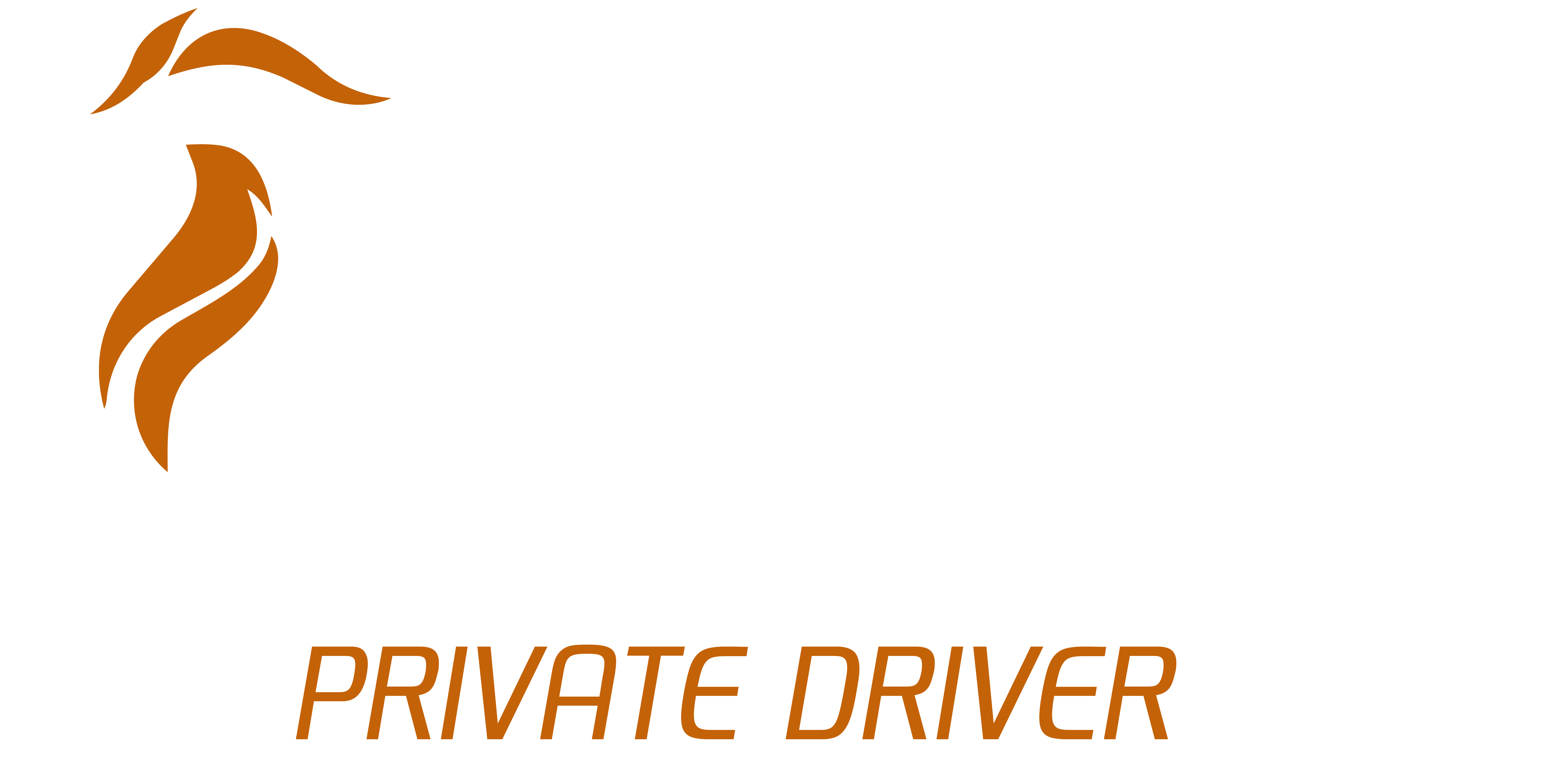 LION WAY DRIVE